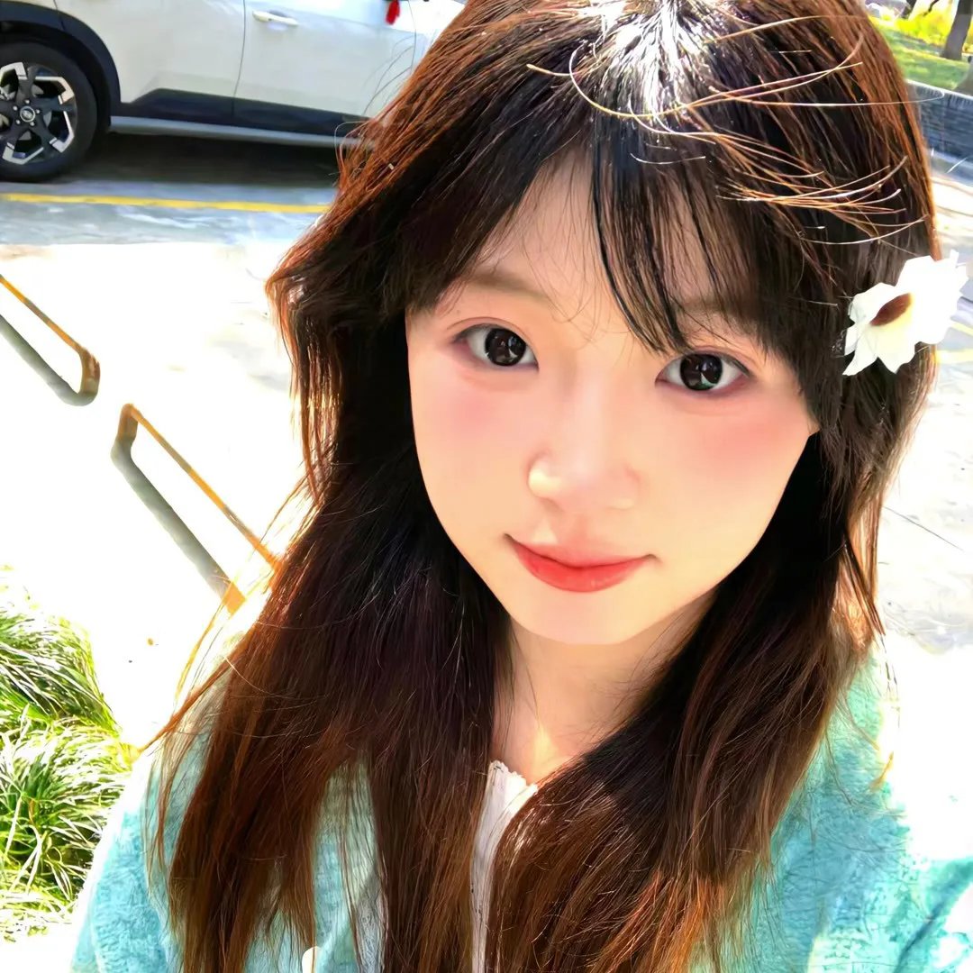 西部战线